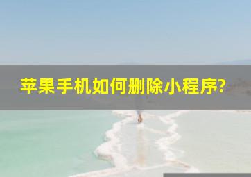 苹果手机如何删除小程序?