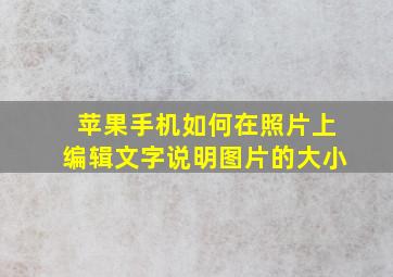 苹果手机如何在照片上编辑文字说明图片的大小