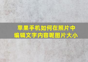 苹果手机如何在照片中编辑文字内容呢图片大小