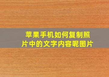 苹果手机如何复制照片中的文字内容呢图片