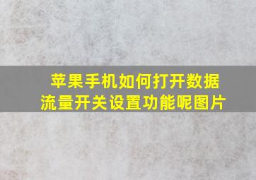 苹果手机如何打开数据流量开关设置功能呢图片