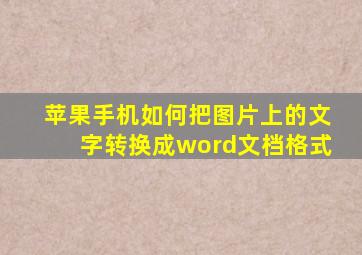 苹果手机如何把图片上的文字转换成word文档格式