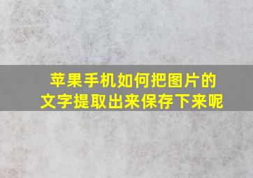 苹果手机如何把图片的文字提取出来保存下来呢