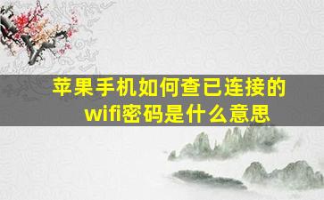 苹果手机如何查已连接的wifi密码是什么意思