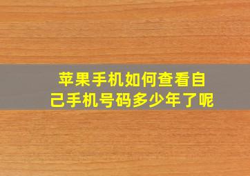 苹果手机如何查看自己手机号码多少年了呢