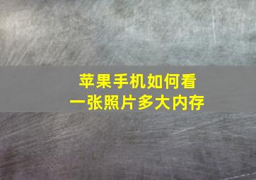 苹果手机如何看一张照片多大内存