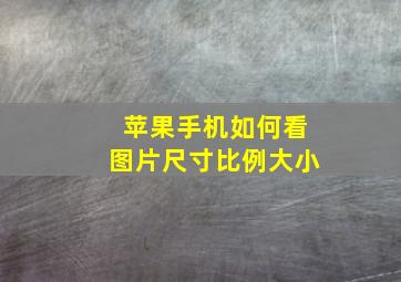 苹果手机如何看图片尺寸比例大小