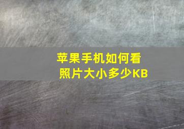 苹果手机如何看照片大小多少KB