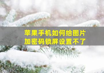 苹果手机如何给图片加密码锁屏设置不了