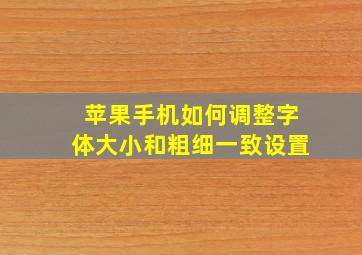 苹果手机如何调整字体大小和粗细一致设置