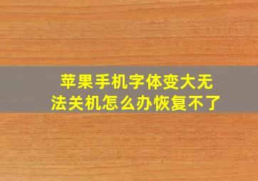 苹果手机字体变大无法关机怎么办恢复不了