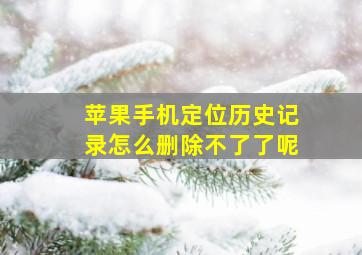 苹果手机定位历史记录怎么删除不了了呢