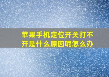 苹果手机定位开关打不开是什么原因呢怎么办