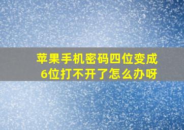 苹果手机密码四位变成6位打不开了怎么办呀