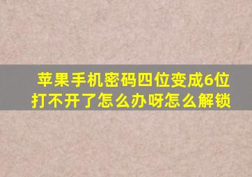 苹果手机密码四位变成6位打不开了怎么办呀怎么解锁