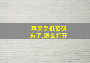 苹果手机密码忘了,怎么打开