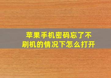 苹果手机密码忘了不刷机的情况下怎么打开