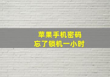 苹果手机密码忘了锁机一小时