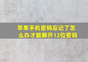 苹果手机密码忘记了怎么办才能解开12位密码