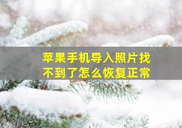 苹果手机导入照片找不到了怎么恢复正常