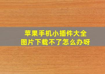 苹果手机小插件大全图片下载不了怎么办呀