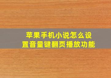 苹果手机小说怎么设置音量键翻页播放功能