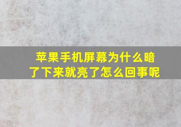 苹果手机屏幕为什么暗了下来就亮了怎么回事呢