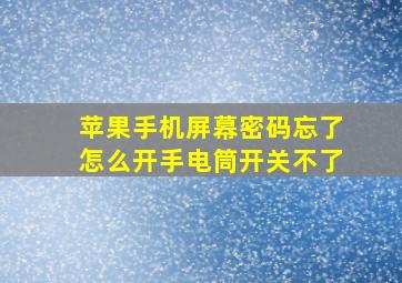 苹果手机屏幕密码忘了怎么开手电筒开关不了