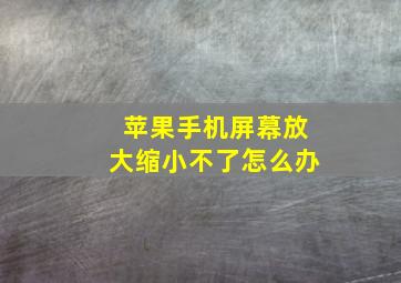 苹果手机屏幕放大缩小不了怎么办