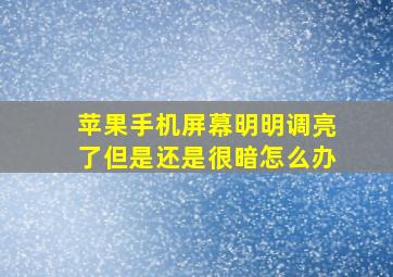 苹果手机屏幕明明调亮了但是还是很暗怎么办