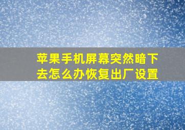 苹果手机屏幕突然暗下去怎么办恢复出厂设置