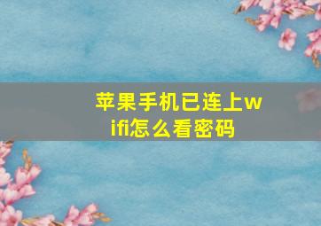 苹果手机已连上wifi怎么看密码