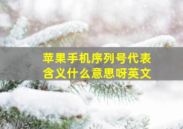 苹果手机序列号代表含义什么意思呀英文