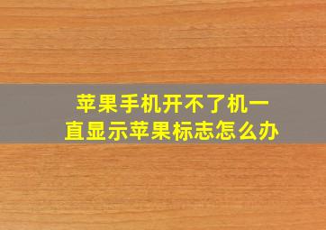 苹果手机开不了机一直显示苹果标志怎么办