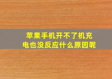 苹果手机开不了机充电也没反应什么原因呢