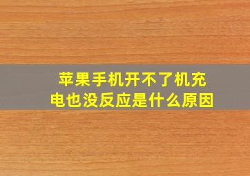 苹果手机开不了机充电也没反应是什么原因