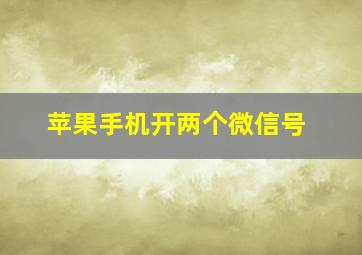 苹果手机开两个微信号