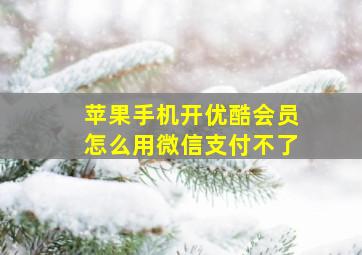 苹果手机开优酷会员怎么用微信支付不了