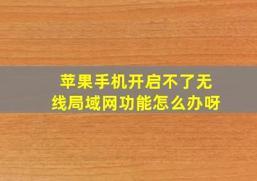 苹果手机开启不了无线局域网功能怎么办呀