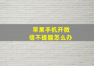 苹果手机开微信不提醒怎么办