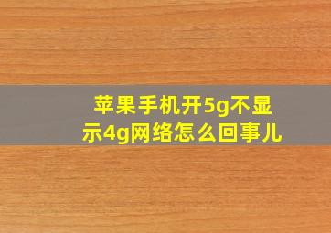 苹果手机开5g不显示4g网络怎么回事儿