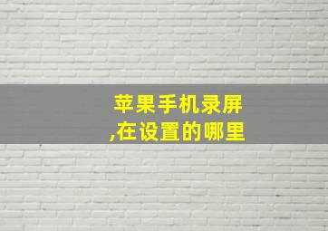 苹果手机录屏,在设置的哪里