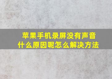 苹果手机录屏没有声音什么原因呢怎么解决方法