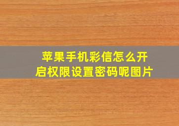 苹果手机彩信怎么开启权限设置密码呢图片