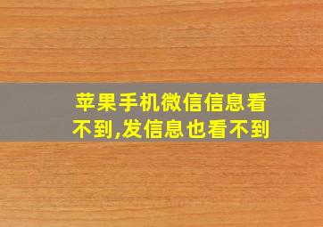 苹果手机微信信息看不到,发信息也看不到