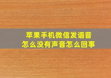 苹果手机微信发语音怎么没有声音怎么回事