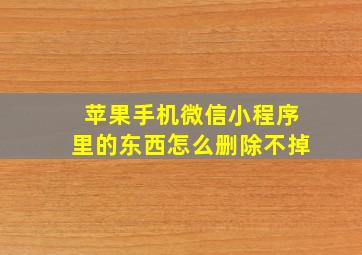 苹果手机微信小程序里的东西怎么删除不掉