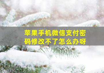 苹果手机微信支付密码修改不了怎么办呀