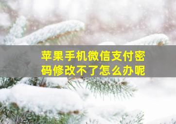 苹果手机微信支付密码修改不了怎么办呢