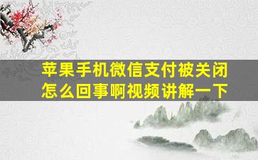 苹果手机微信支付被关闭怎么回事啊视频讲解一下